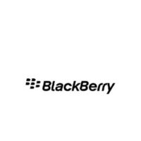 blackberry-sq